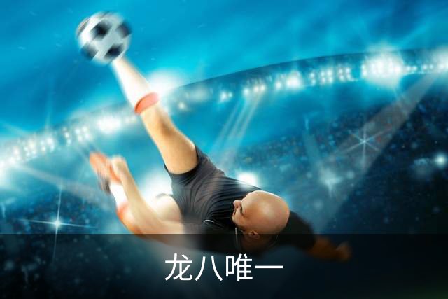 龙八唯一公司简介图片